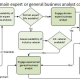Decision process for engaging a business consultant with or without domain expertise