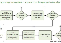 Solve business problems through systemic approach. Recognise problem, engage consultant, assess results.