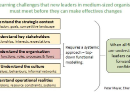 Five leadership challenges for new leaders of medium businesses. Understanding the organisation requires systemic approach using functional modelling.