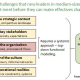 Five leadership challenges for new leaders of medium businesses. Understanding the organisation requires systemic approach using functional modelling.