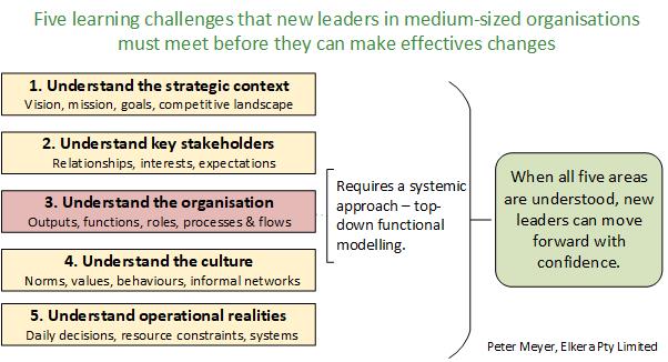 Five leadership challenges for new leaders of medium businesses. Understanding the organisation requires systemic approach using functional modelling.